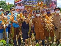 Wakil Bupati: Terus Kembangkan Potensi Barito Timur sebagai Lumbung Pangan