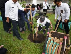 Pohon Samida akan dijadikan sebagai ikon Kabupaten Garut