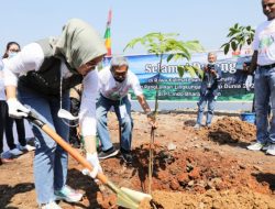 Peringati Hari Lingkungan Hidup Sedunia, Bupati Purwakarta Tanam Pohon dan Tebar Benih Ikan di Rawa Kalimati