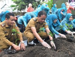 Tim Penggerak PKK OKI Tanam 250 Bibit Cabai