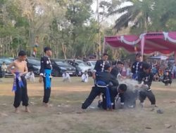 Atraksi Tim Pencak Silat Kera Sakti Meriahkan Porcam Kecamatan Rantau Alai