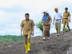 Panca-Ardani Sosialisasikan Program Intensifikasi dan Ekstentifikasi Pertanian Padi