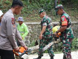 Jelang Nataru 2024, Kodim 0610/Sumedang dan Polres Sumedang Amankan Jalur Cadas Pangeran dengan Penebangan Pohon