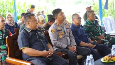 DPRD Sukabumi Dukung Penanaman Jagung Serentak untuk Wujudkan Swasembada Pangan Nasional 2025